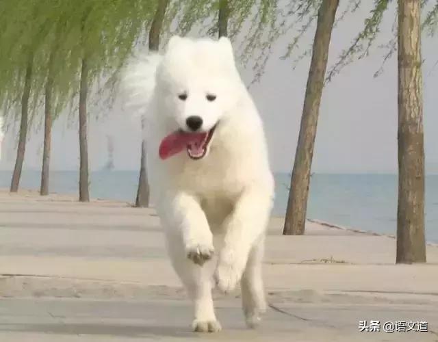 不想学了怎么才能学得进去,学一段时间不想学了怎么办