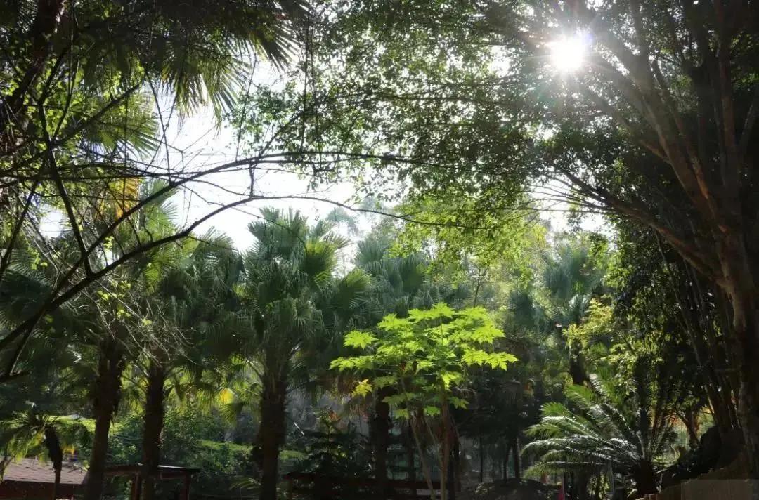 福州温泉三日二晚旅游攻略,假日暖洋洋温泉