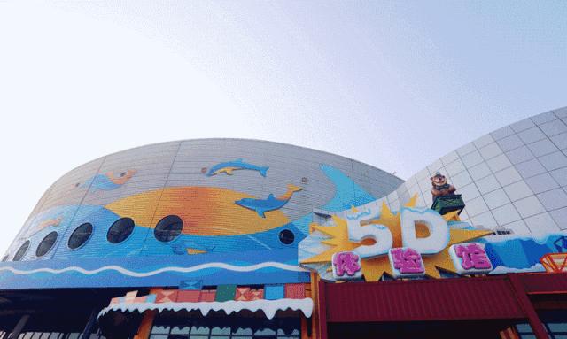 青岛极地海洋世界游玩趣事三年级,青岛极地海洋世界隐藏消费