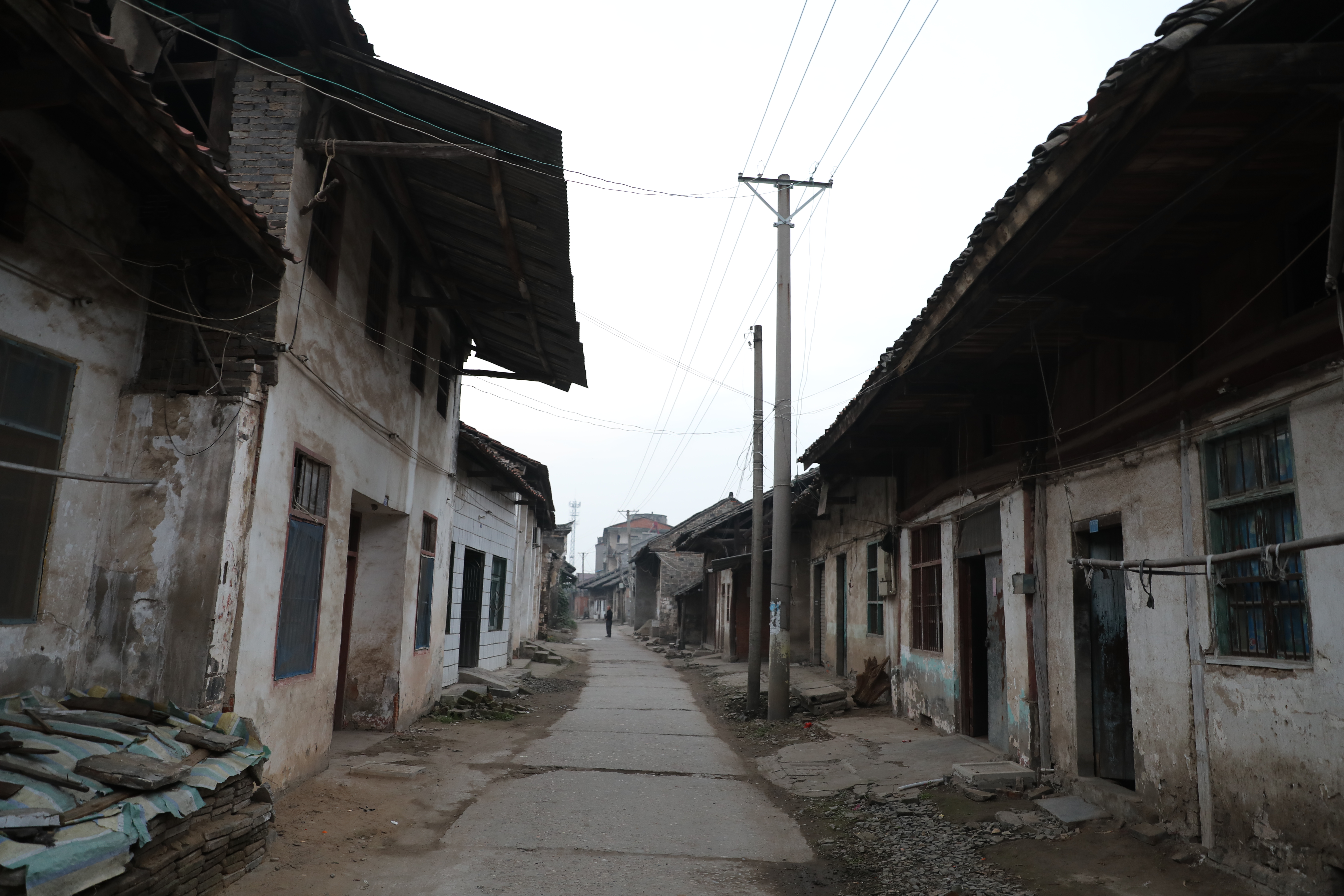 腊梅在哪有,在腊梅盛开的地方