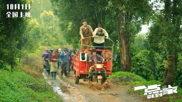 票房惨淡的高分电影有哪些,票房高口碑差的烂片