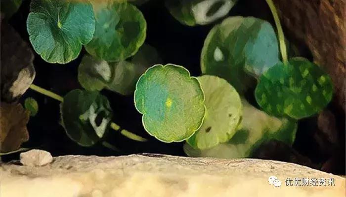 区块链被围困却脆弱,区块链企业续命