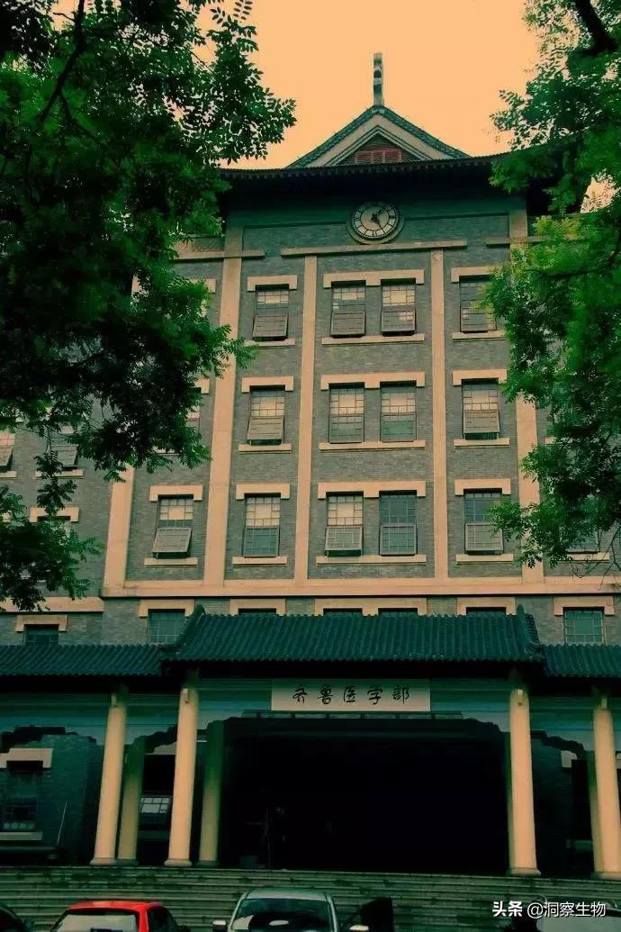 并入山东大学后实力下滑严重，“东齐鲁”已不负盛名