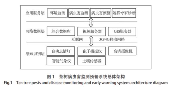 茶树病虫害防治研究专家,智能茶树病虫防治