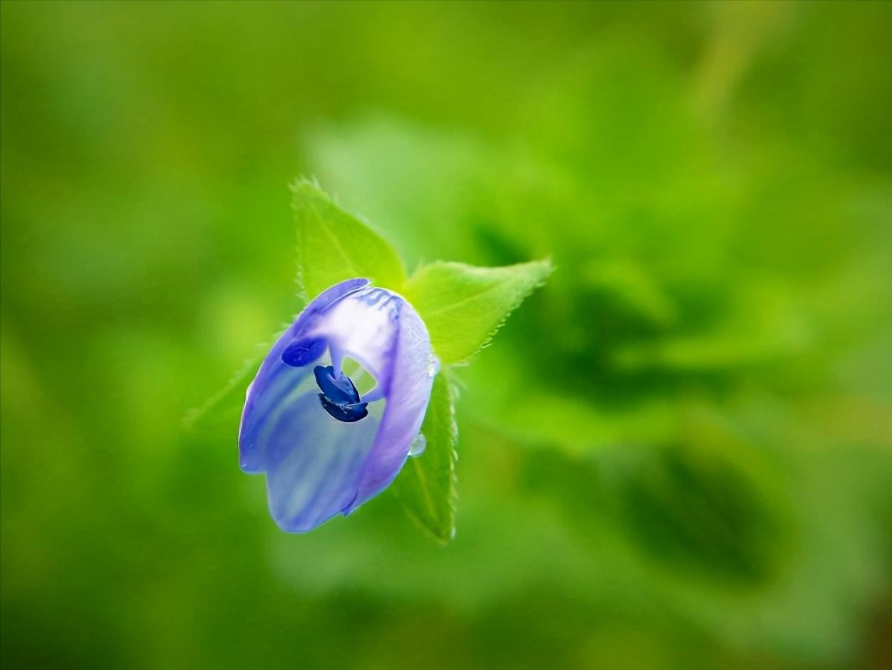 真正的小人都有这十个特征,遇到小人时做人的最高境界是什么