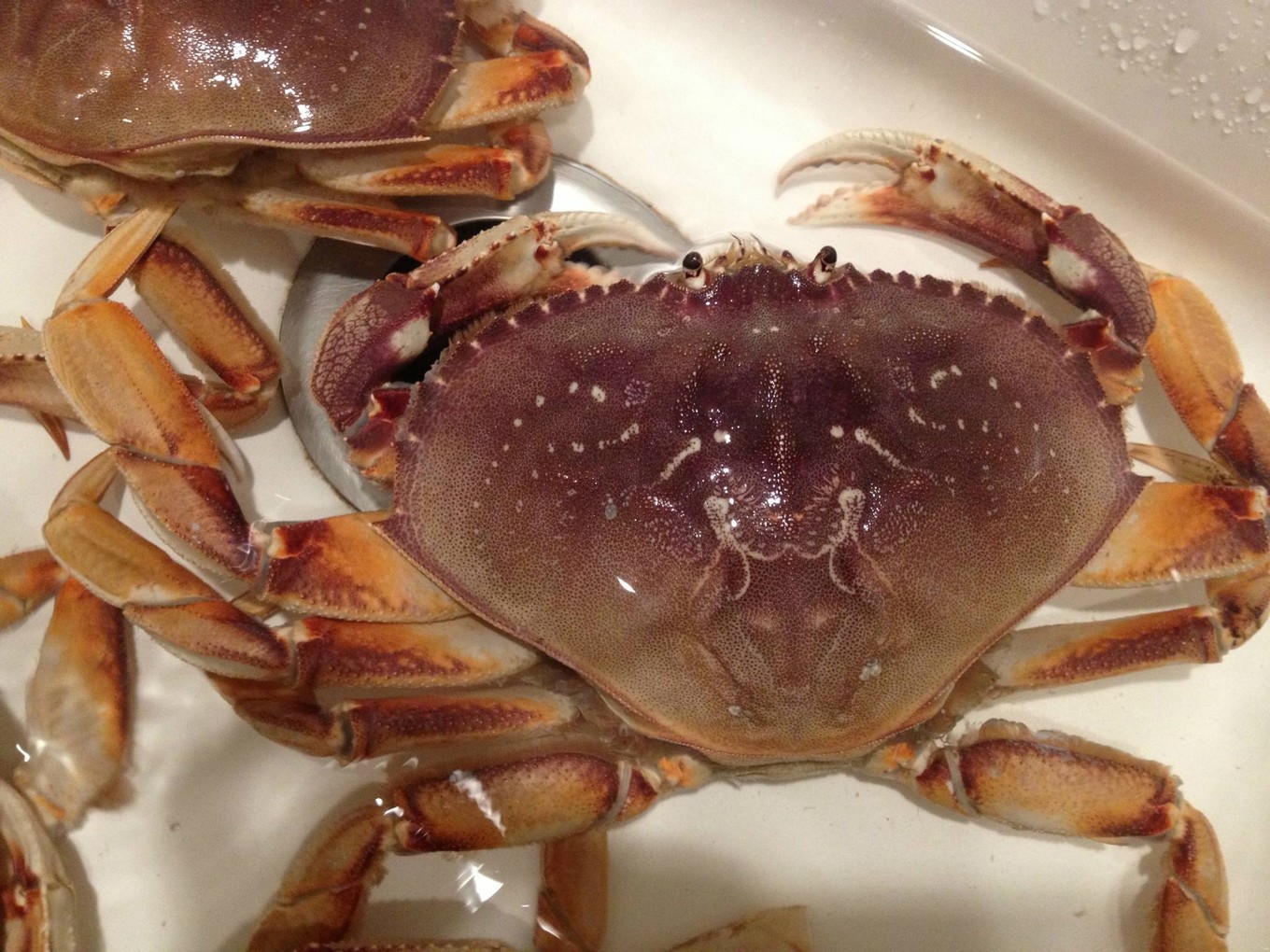 三亚旅游吃海鲜防宰攻略,三亚蜈支洲岛吃海鲜攻略