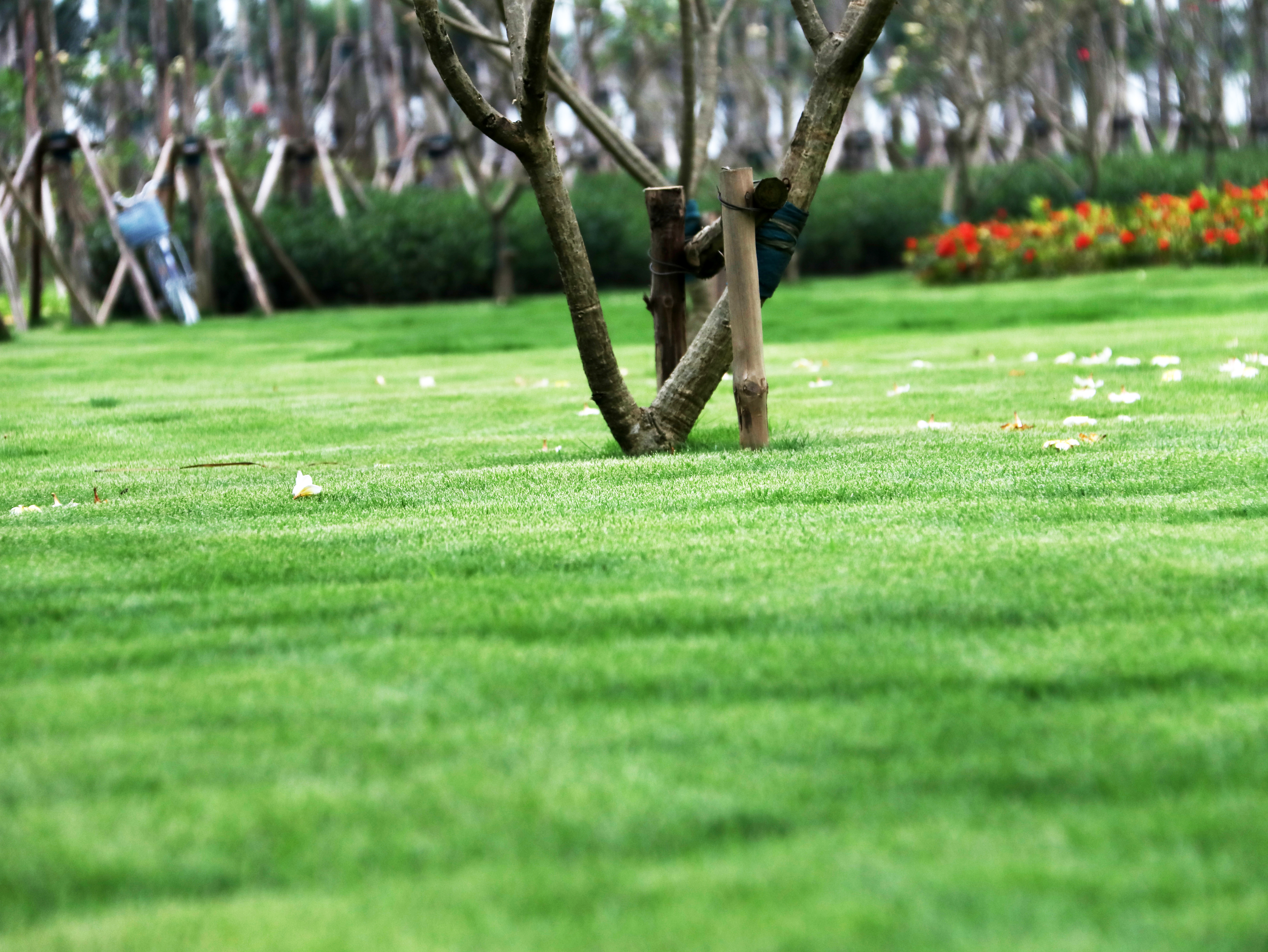 北海观山海高尔夫,北海最美打卡地