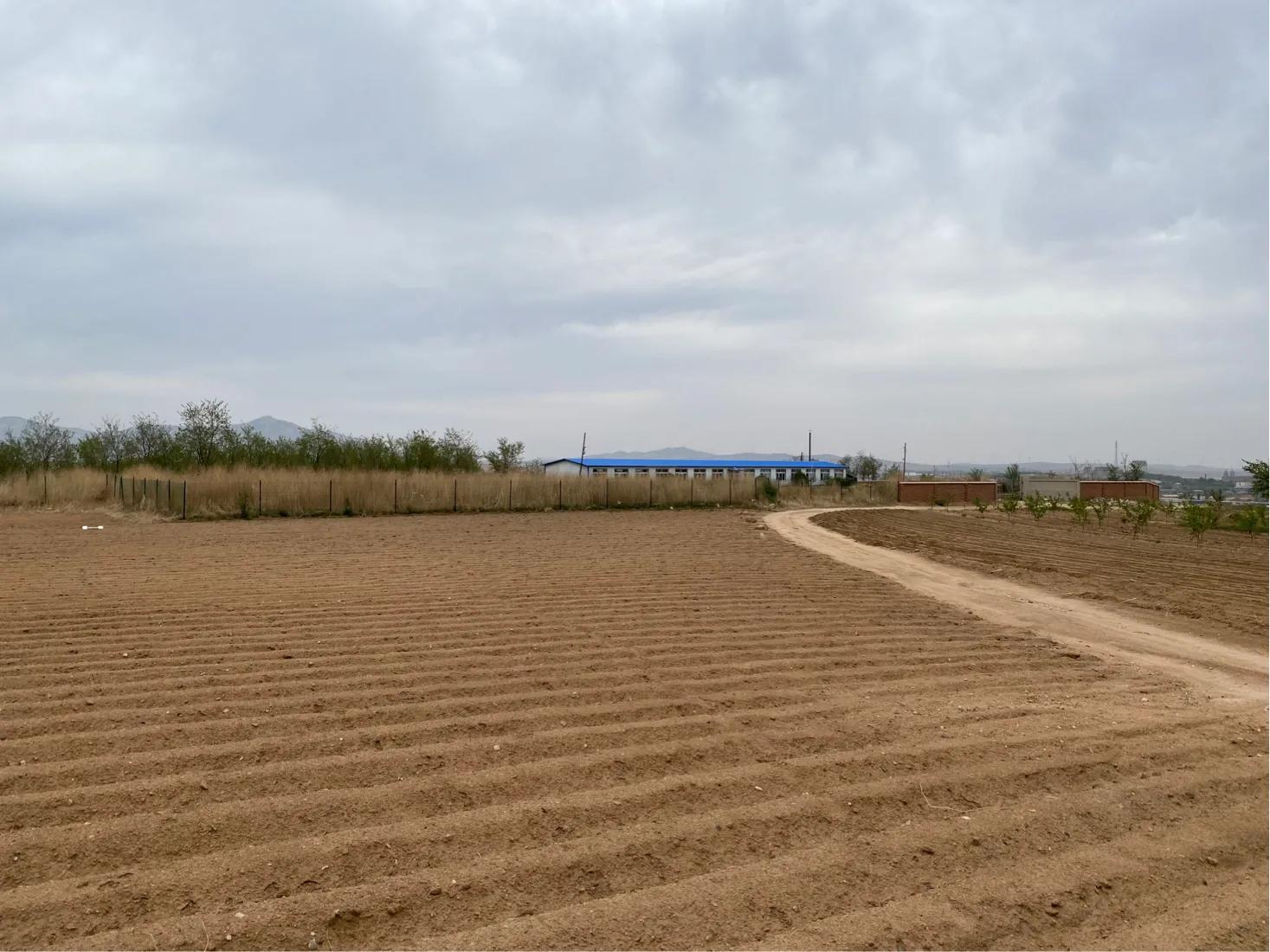 宁在殿前不在庙后是什么意思,宁住庙前不住庙后门