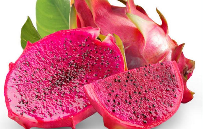 狗尿血然后尿不出来,狗尿血的正确处理方法