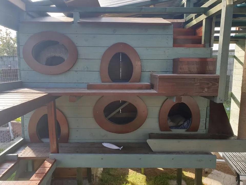 拥有“私家园林”，游遍世界各地，这些猫咪的生活太让人羡慕了吧