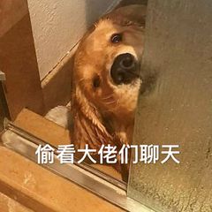 用4g网络会限流吗,用4g网络才能免流量对吗