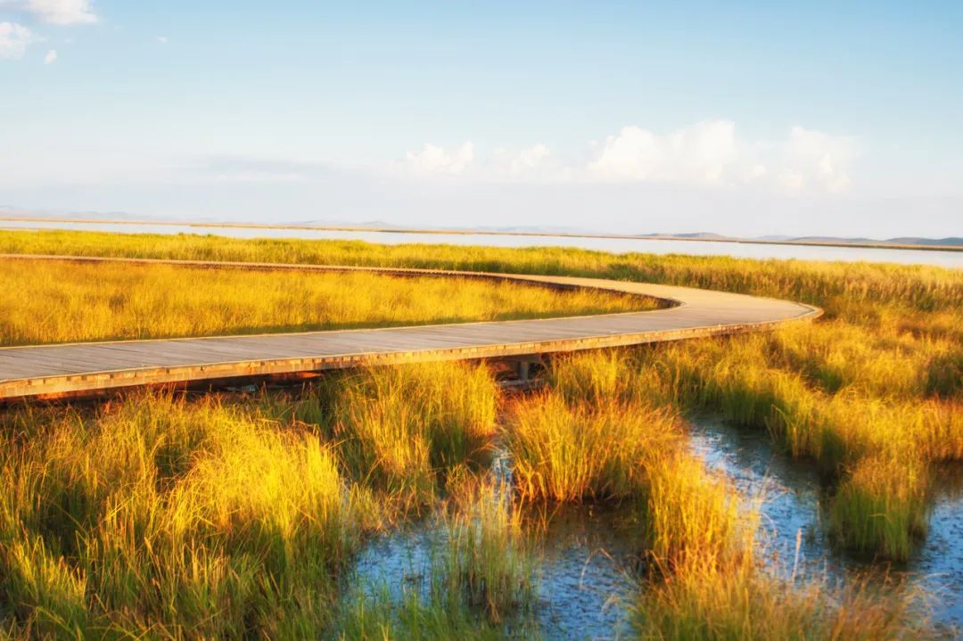 众信旅游引阿里入股,众信旅游与阿里合作