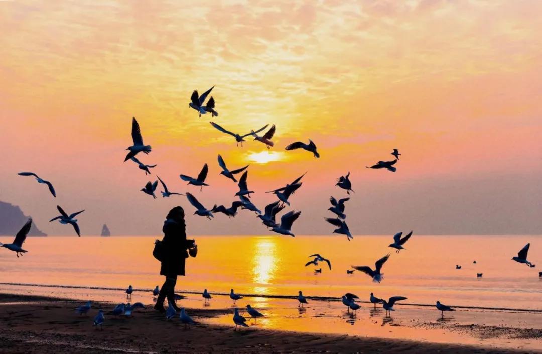 《五一青岛游攻略》.doc！快乐“青”球在这里，现在就出发！