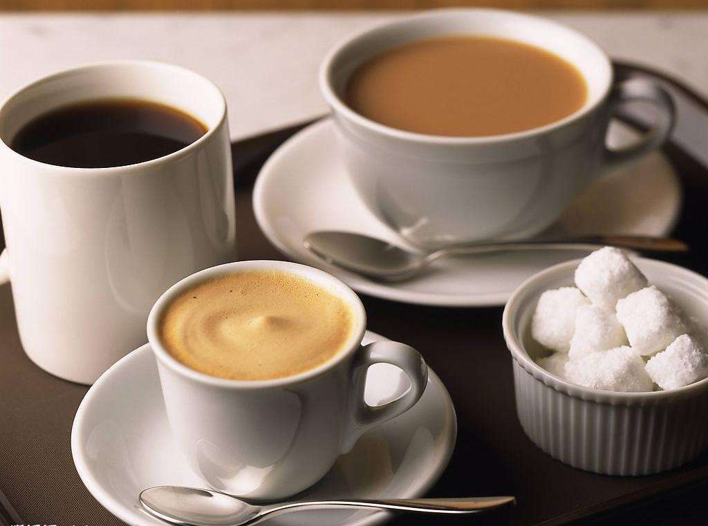 南洋迪克工厂行,南洋迪克第九季工厂行火热进行中