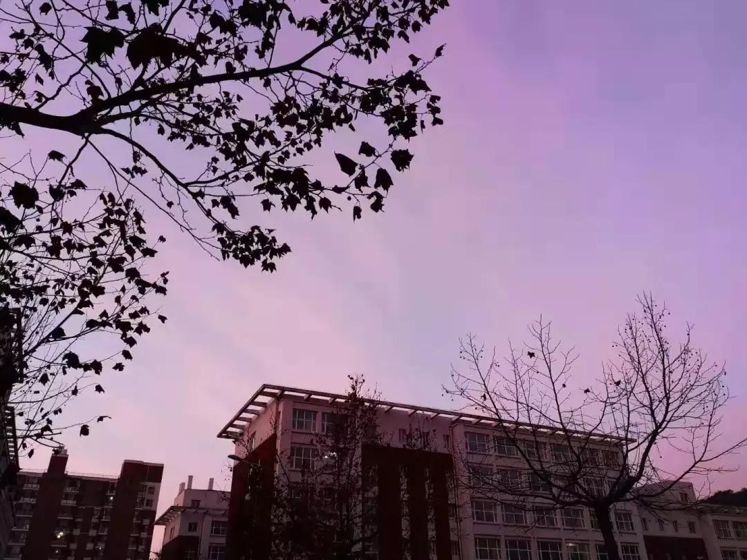 辽宁师范大学辽宁省一流课程,辽宁省普通高等院校