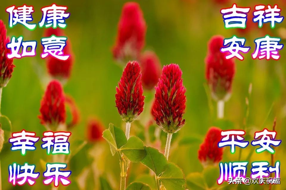 特别漂亮的早上好图片清晨问候语,早上好清晨的问候祝福语漂亮图片