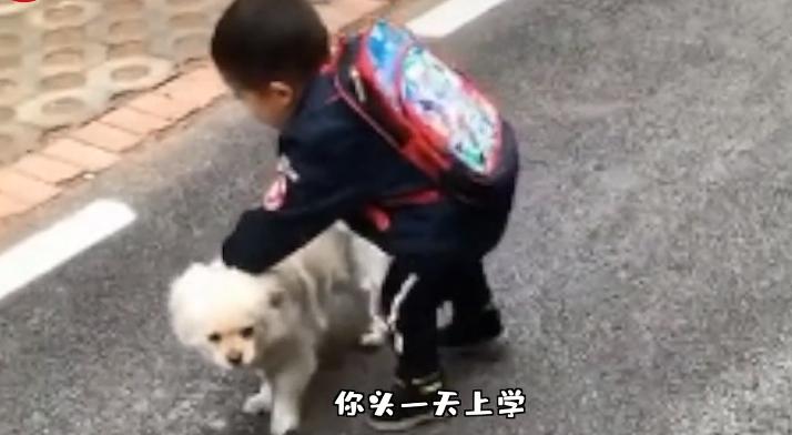 奶奶用大鹅玩娃,奶奶用大白鹅带娃