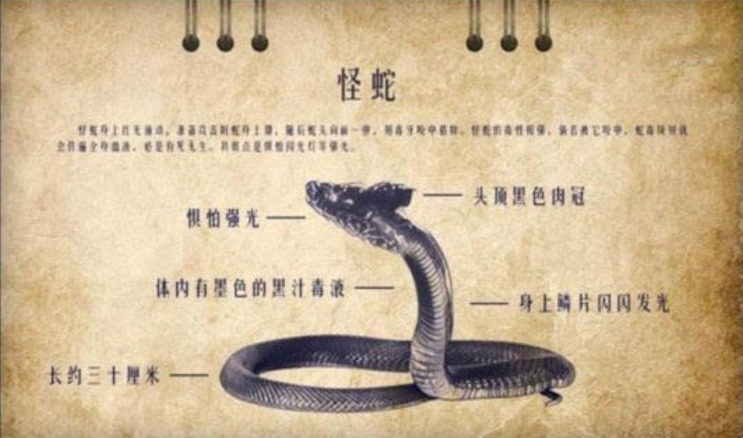 鬼吹灯系列全集讲解,鬼吹灯中虚数空间蛇神