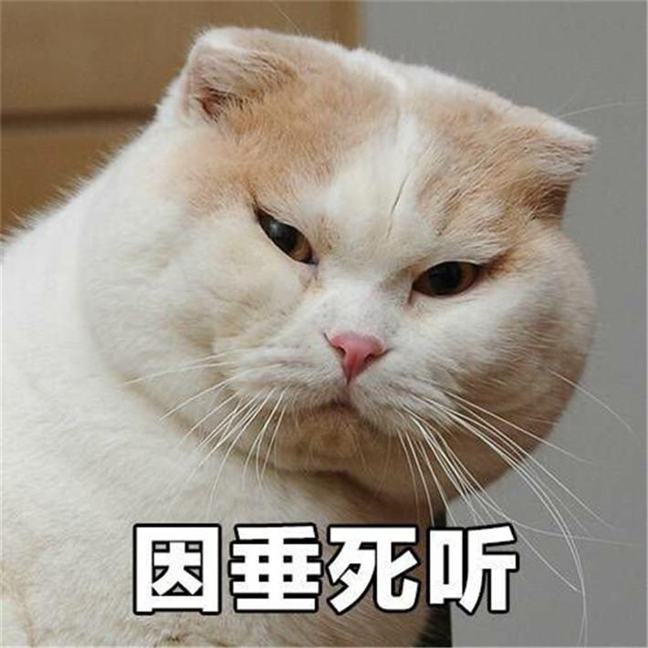 万能班长|加拿大留学生日常生活省钱小妙招