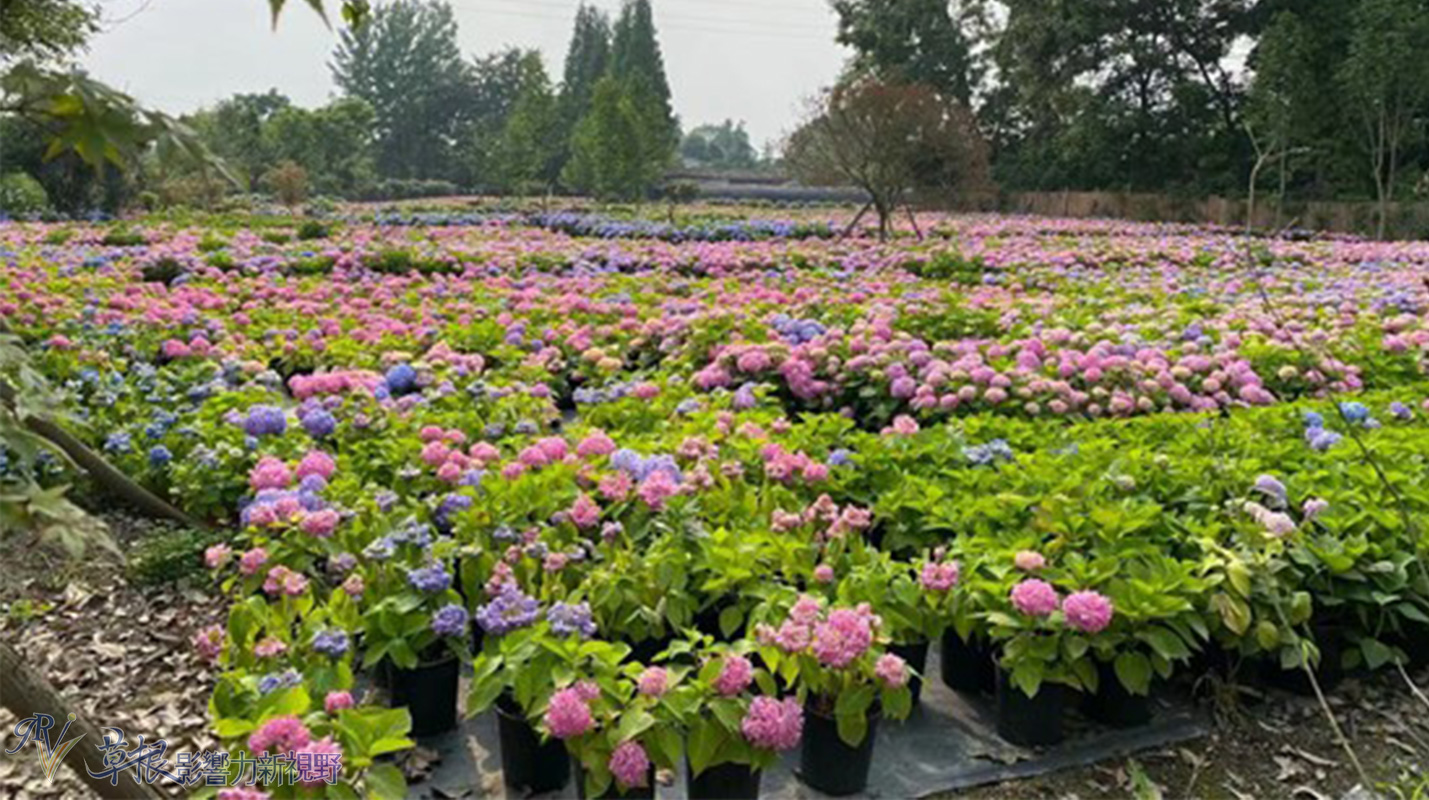 中国最美乡村竹子沟风景区,中国四大顶级风景村