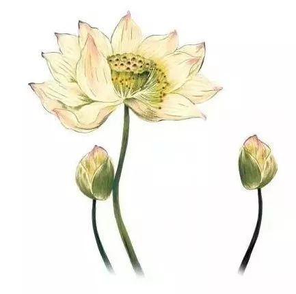 株洲市康复者量化研究发展基金会简介