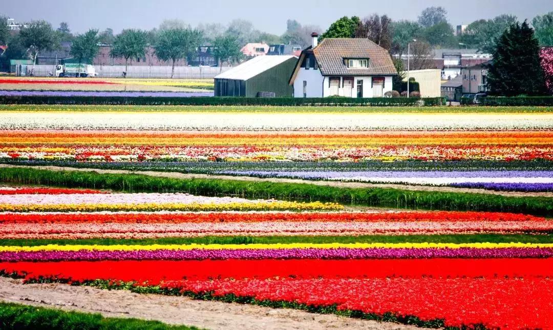 白云山打卡转场,广州白云山爬山攻略怎么预约