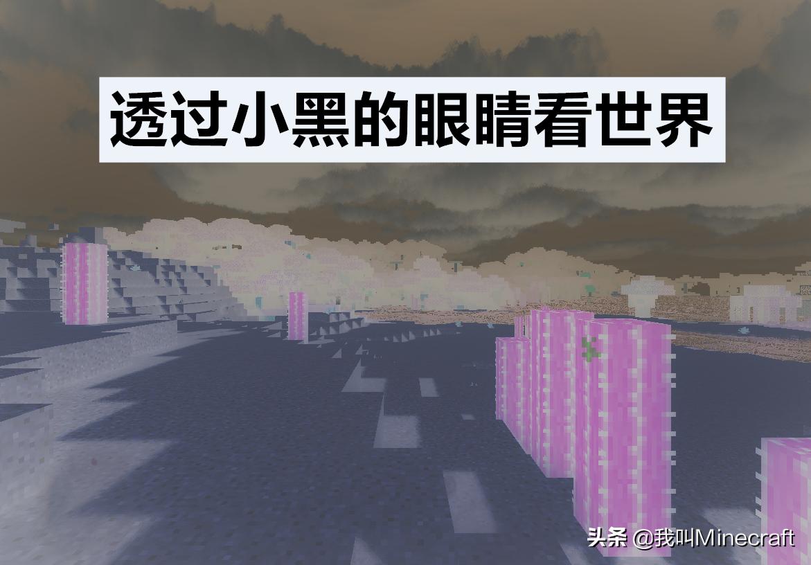 我的世界关于末影人的恐怖传说,我的世界末影人小黑图片