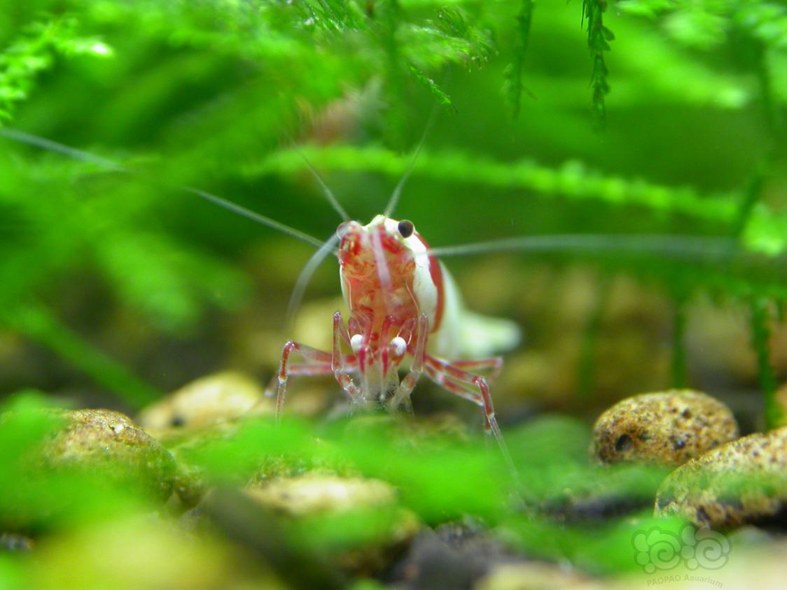 分享养鱼经验,分享水产创业经验