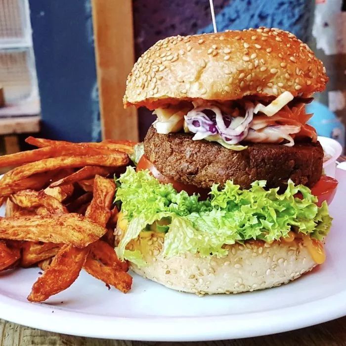 全球十大素食国家,十大素食友好国家你去过哪个