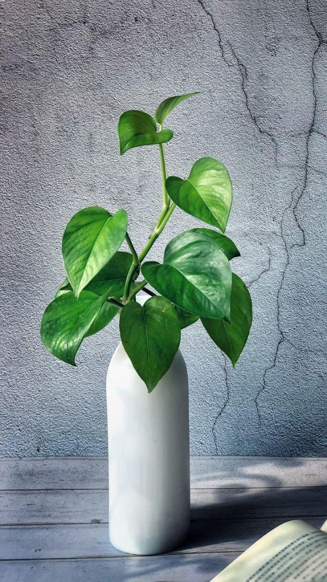 孕卵迷路潜藏危机——出血、腹痛甚至危及生命！