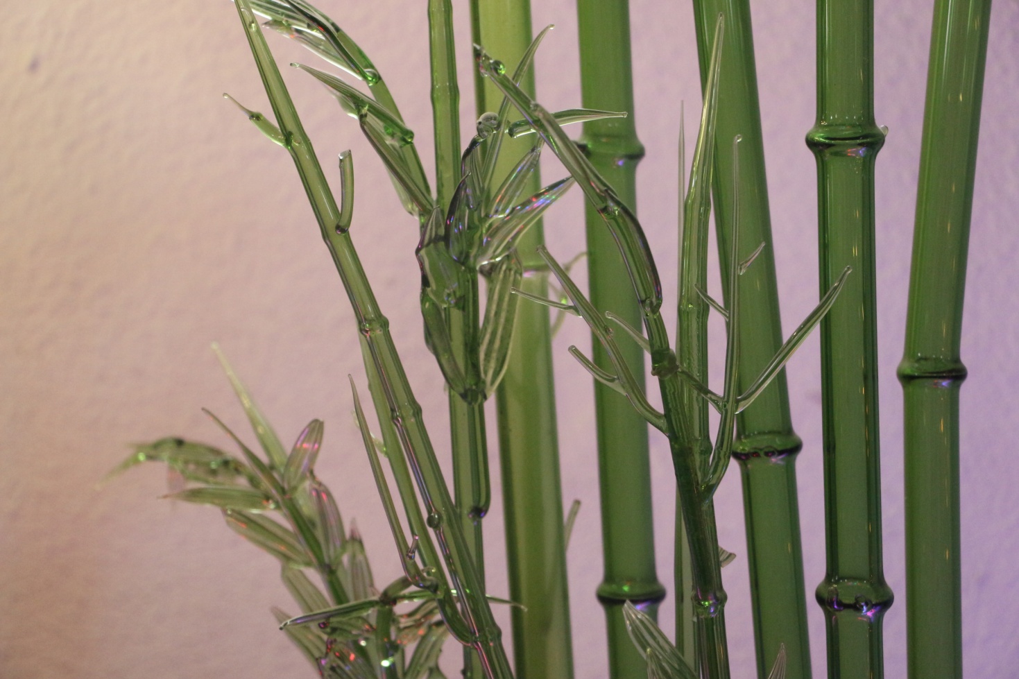 蜀人钟子专访视频,蜀人钟子