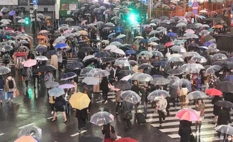 为什么日本人爱用透明伞,为什么日本大多是透明伞黑伞