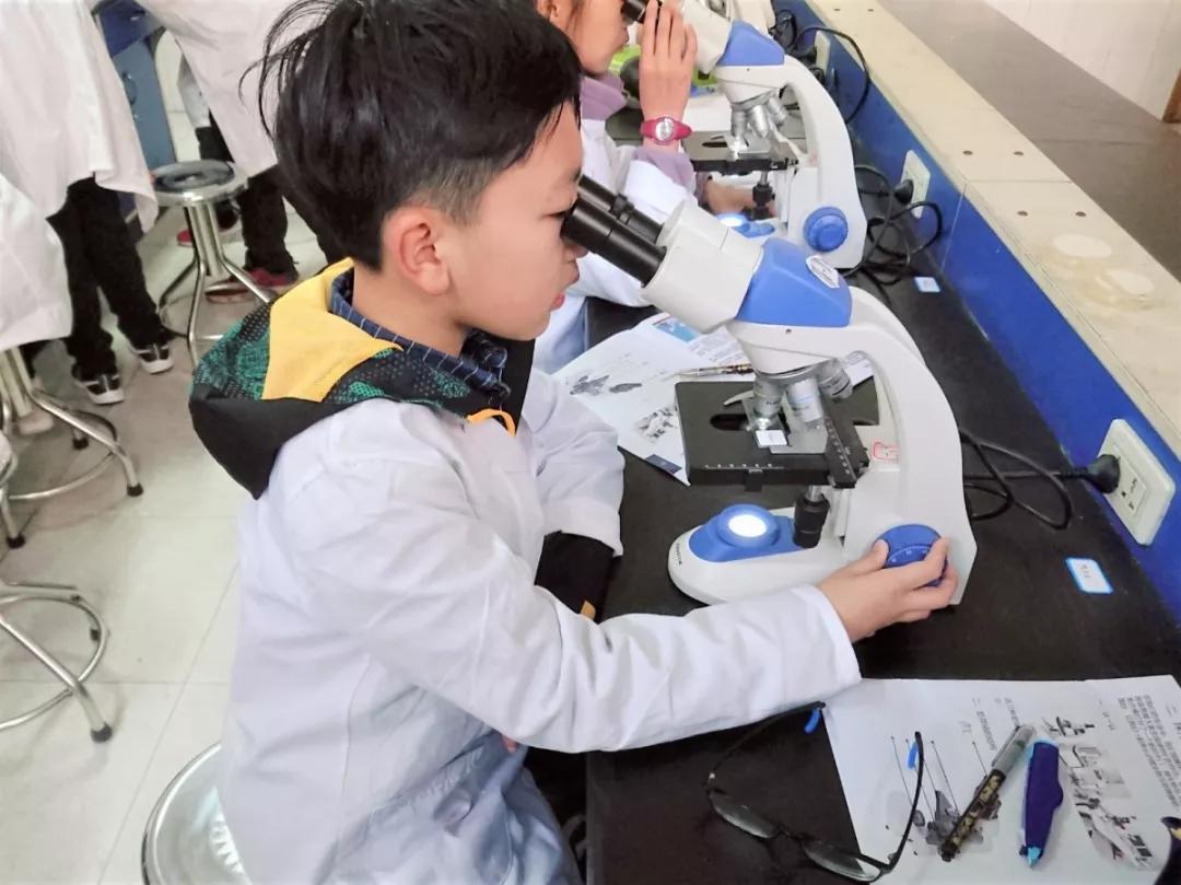 小恒视频课堂,小恒带你看芜湖