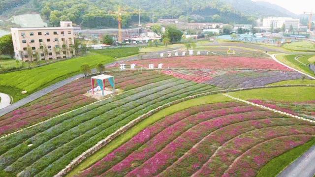 杭州旅游玻璃栈道漂流,杭州山清水秀大峡谷