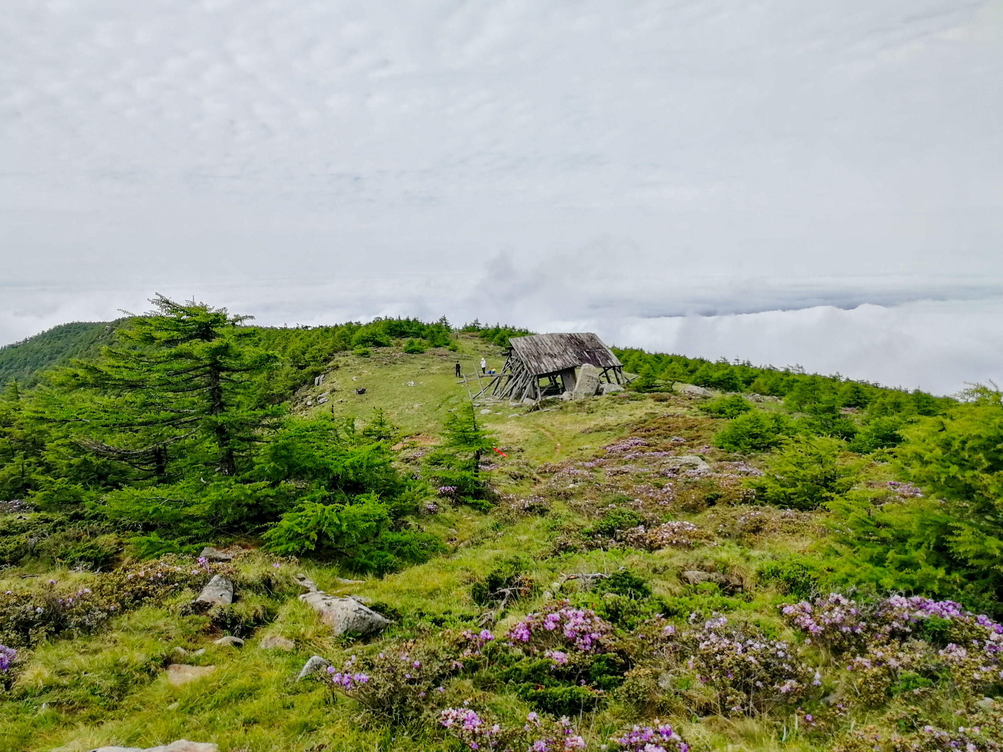 秦岭主峰太白山一日游,陕西秦岭太白山之旅