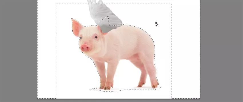 ps花仙子合成教程,ps合成狗狗教程