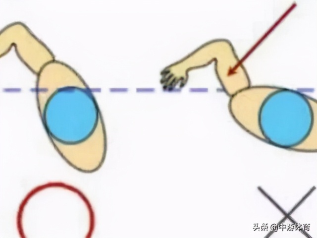 中游体育自由泳划手技巧,中游体育自由泳手脚配合视频