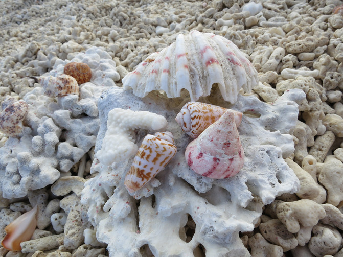 一半是海水一半是蓝天，这就是西沙群岛！我是登岛的第46066人