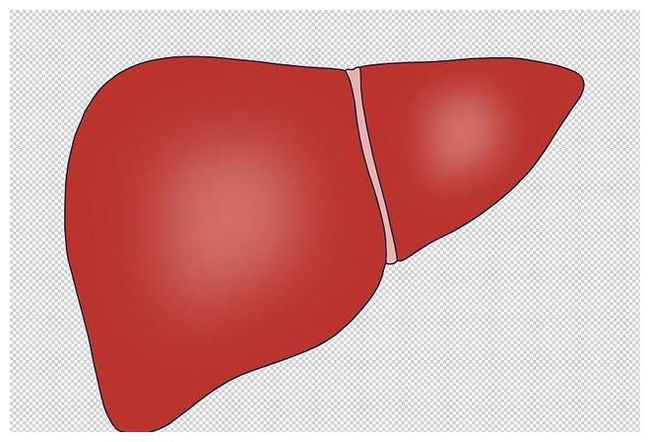 体检报告单中“转氨酶”偏高，意味着什么？看看医生怎么说