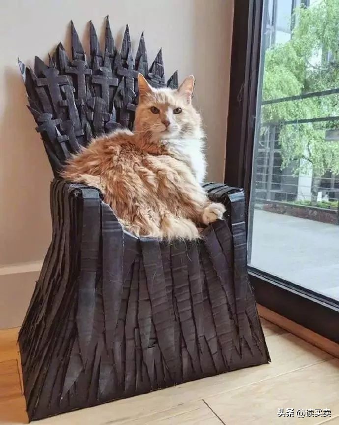 怎么样判断一个男生直不直男,怎么判断一个男的直不直男