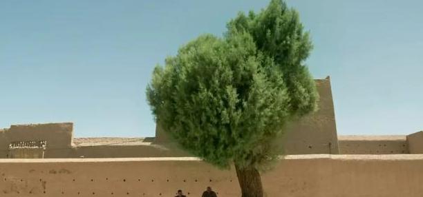 李安最后的选择,李安经历的人生低谷