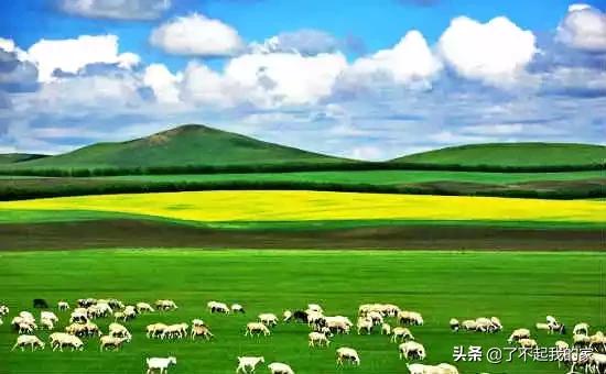 洛阳特产必买清单一览表,中国各地特产一览表