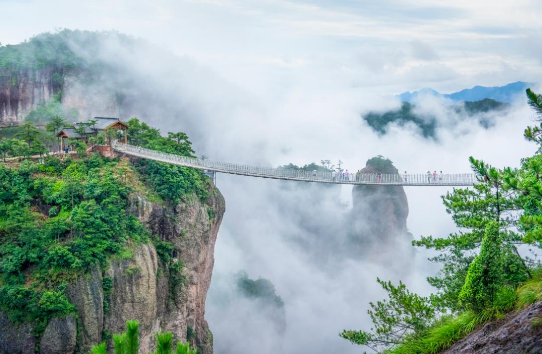 免费森林公园门票优惠活动,森林康养旅游胜地有哪些