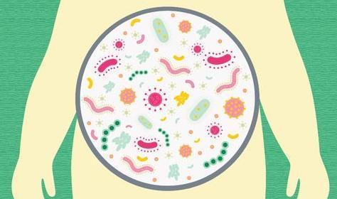 腹部疼痛大便拉不出来伴有恶心,腹部疼大便不成形有什么中药