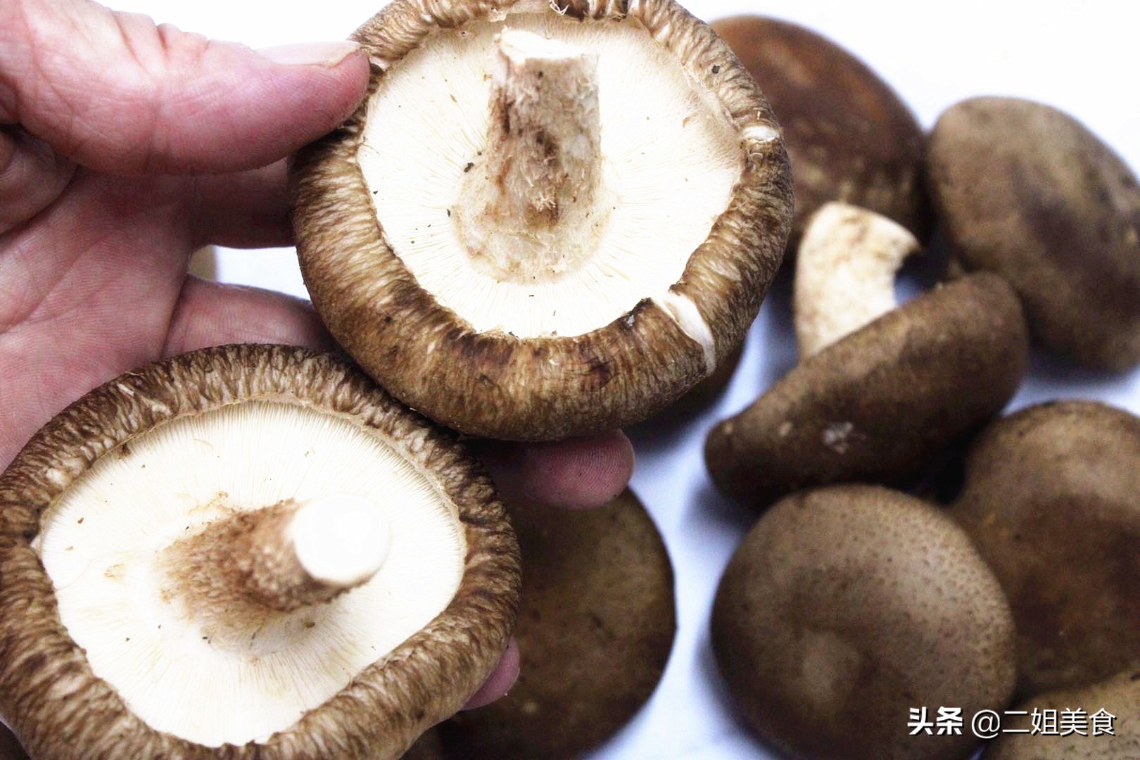 挑新鲜香菇,鲜香菇怎么选