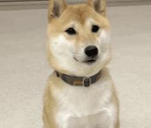 补水喷雾真实测评,平价补水喷雾真实测评