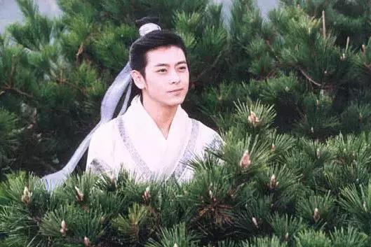 段誉是多情还是专情,段誉感情坎坷