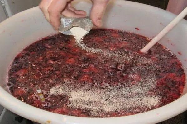 法国干红葡萄酒酿造过程,葡萄酒酿造过程