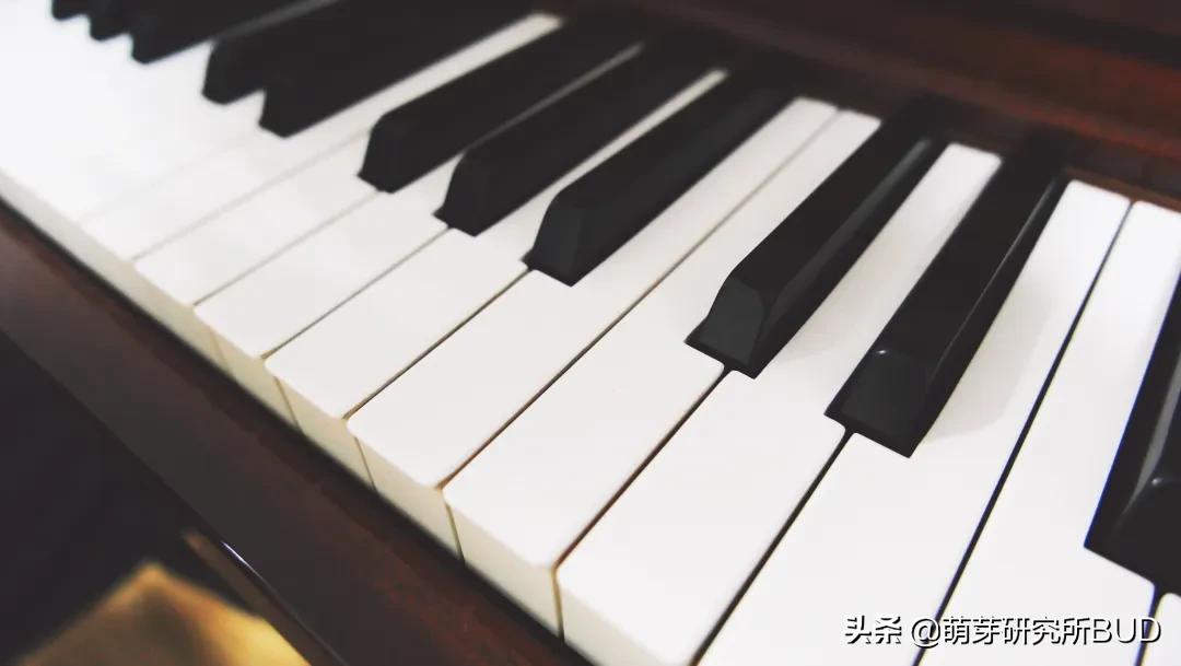 怎样挑选一架钢琴,钢琴入门如何挑选比较好的品牌