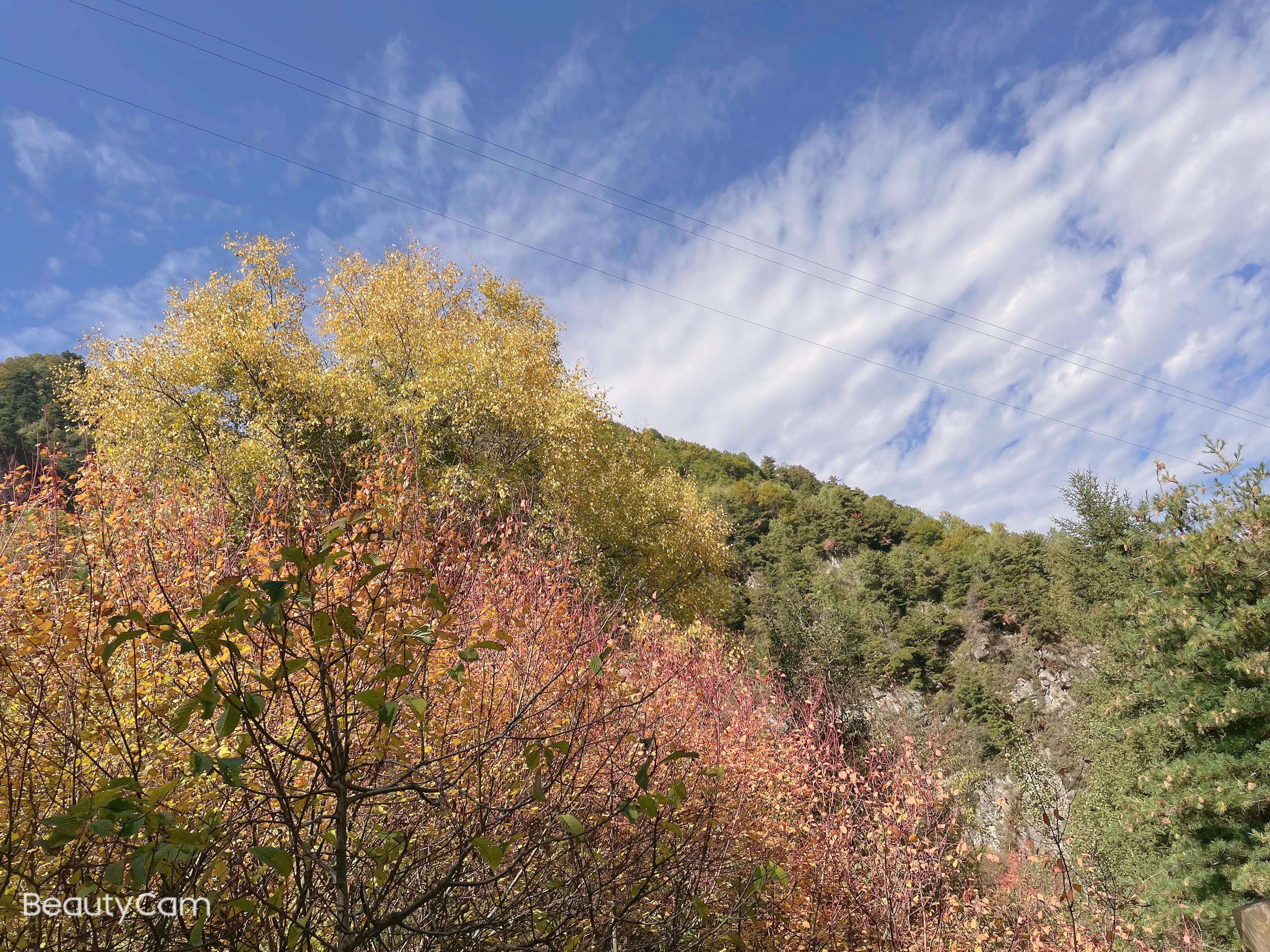 青海省循化县孟达,青海省循化县孟达天池秋景